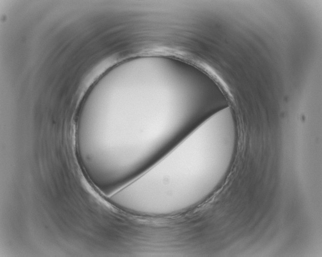 X0000082161476200701190943