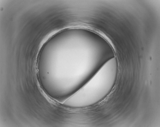 X0000082161485200701190943