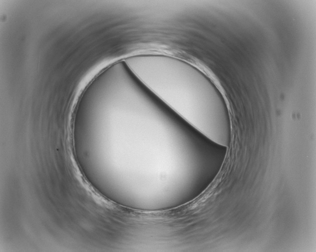 X0000082161488200701190943
