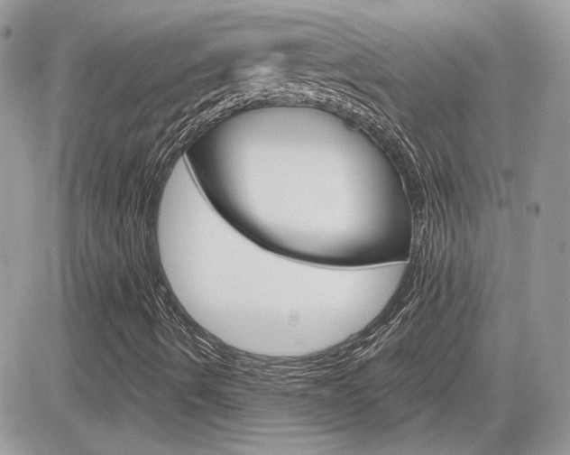 X0000082161490200701190942