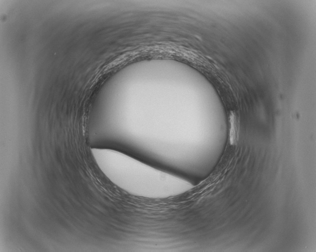 X0000082161491200701190942