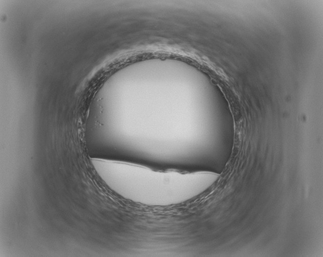 X0000082161495200701190942