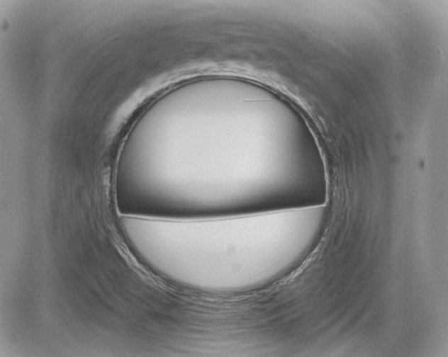 X0000082161503200701190942