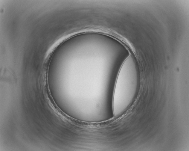 X0000082161504200701190942