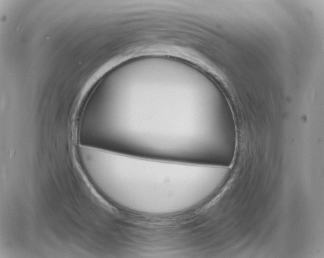 X0000082161517200701190943