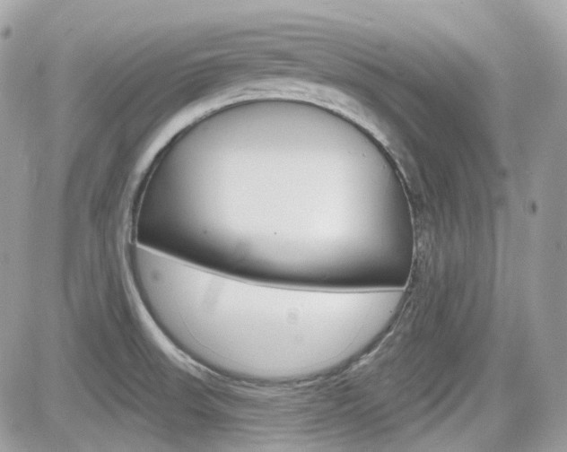 X0000082161523200701190943