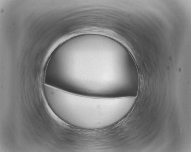 X0000082161531200701190943