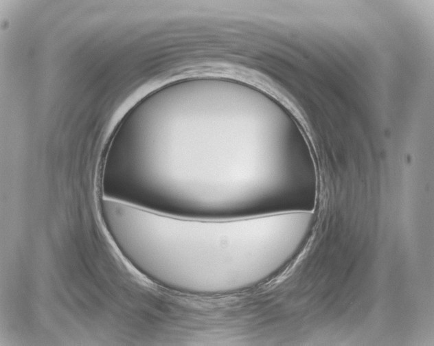 X0000082161533200701190943