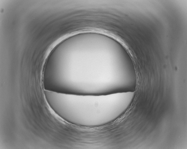 X0000082161535200701190943