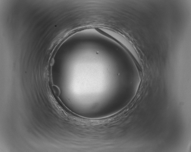 X0000082160002200701191253