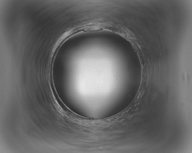 X0000082160003200701191253