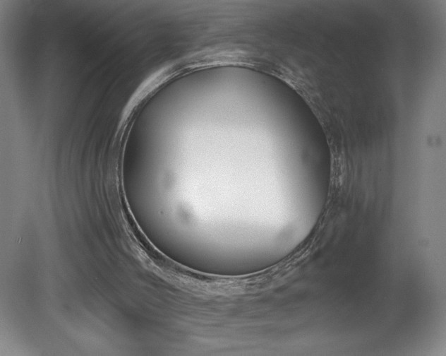 X0000082160004200701191253