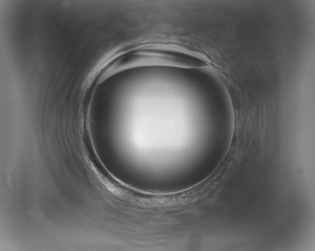 X0000082160005200701191253