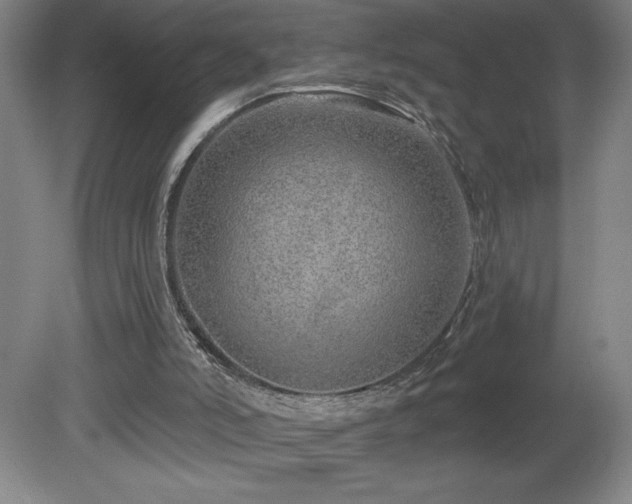 X0000082160006200701191253