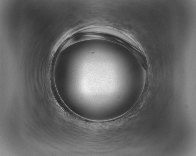 X0000082160007200701191253