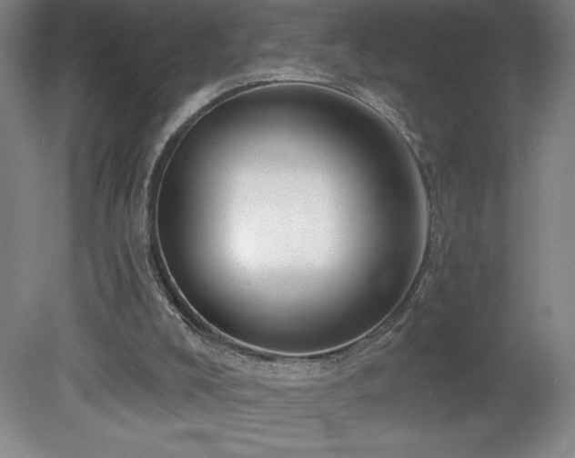 X0000082160008200701191253