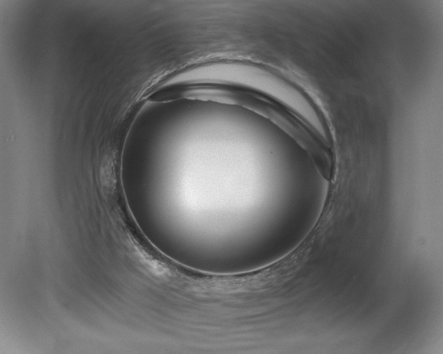X0000082160009200701191253