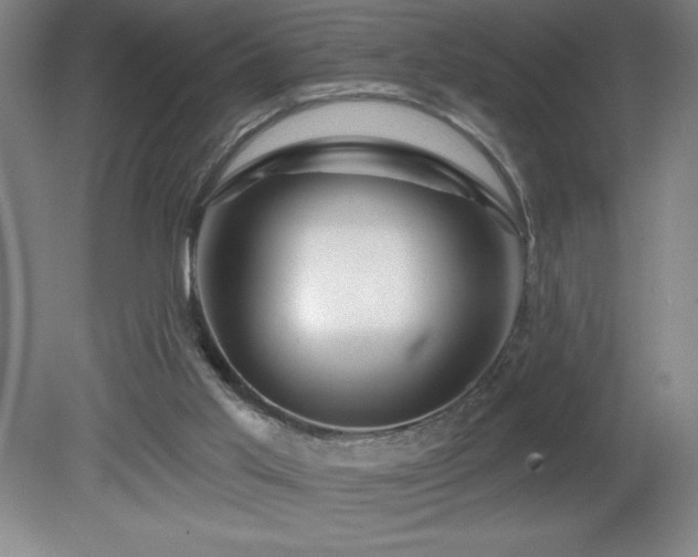 X0000082160013200701191253