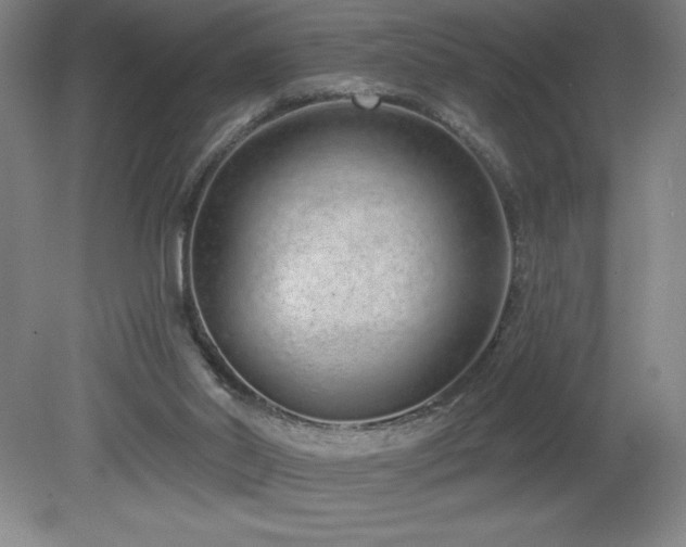 X0000082160014200701191253