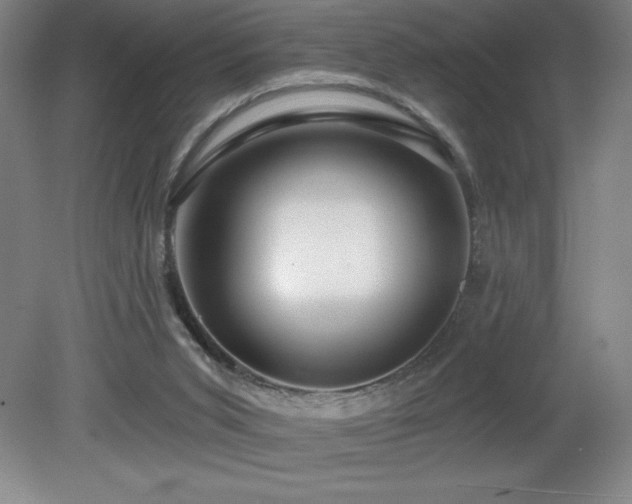X0000082160015200701191253