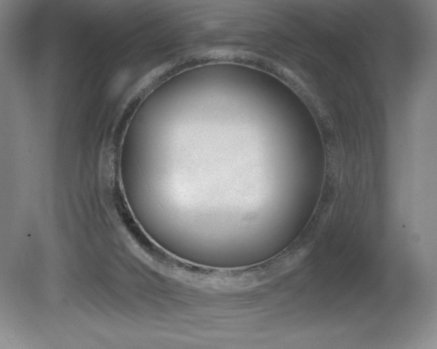 X0000082160016200701191253
