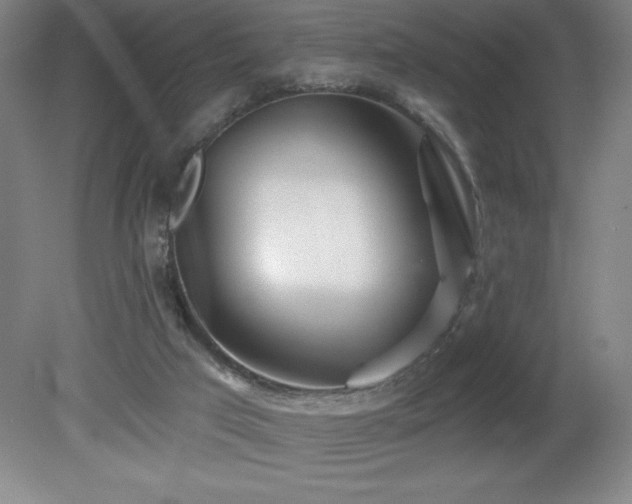 X0000082160017200701191253