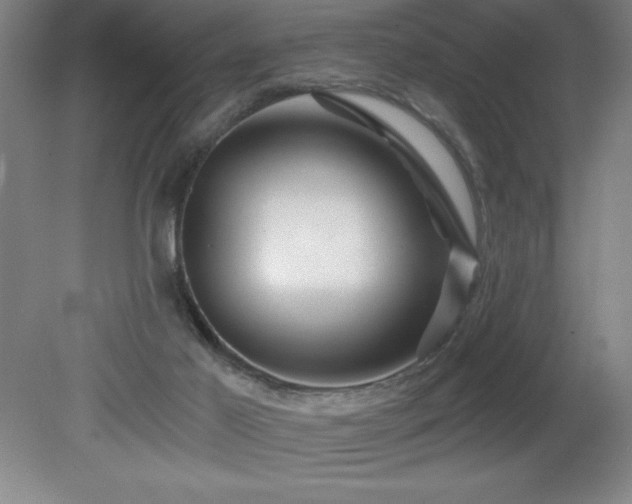 X0000082160021200701191253