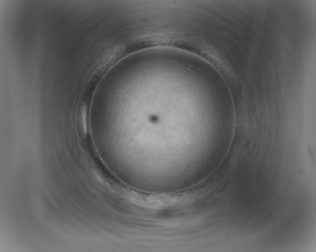 X0000082160022200701191253