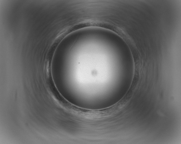 X0000082160024200701191253