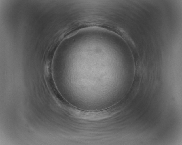 X0000082160026200701191253