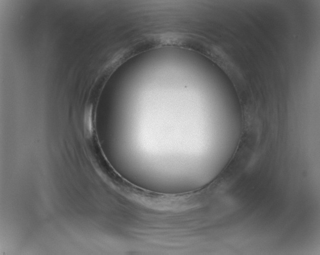 X0000082160028200701191253