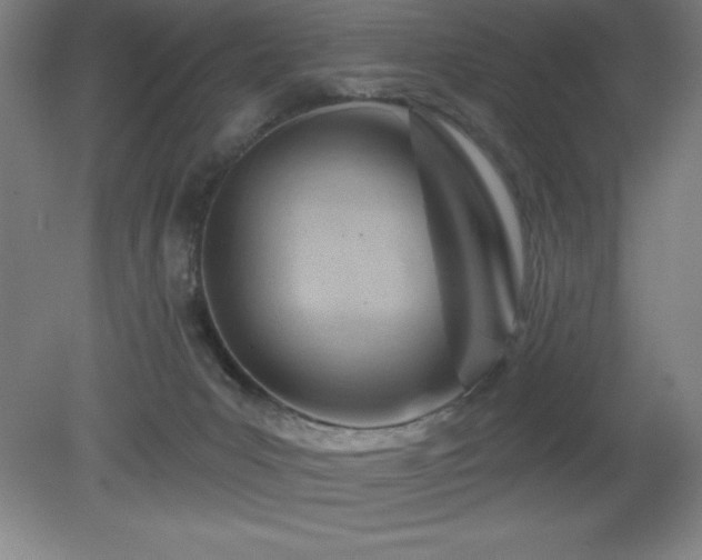 X0000082160031200701191253