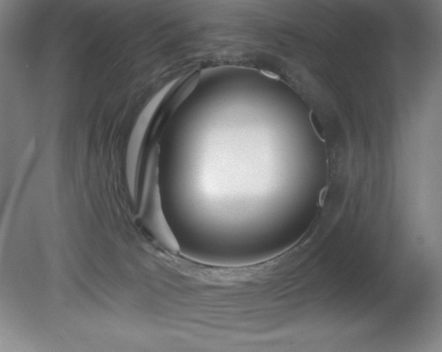 X0000082160033200701191253