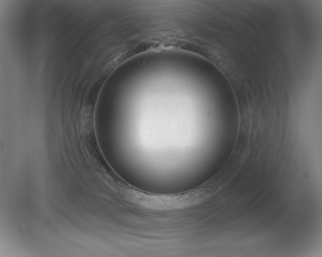 X0000082160034200701191253