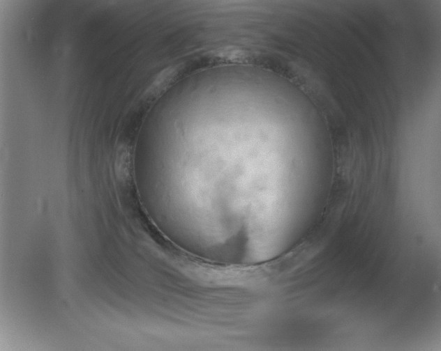 X0000082160036200701191253