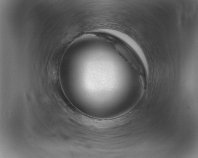 X0000082160039200701191253