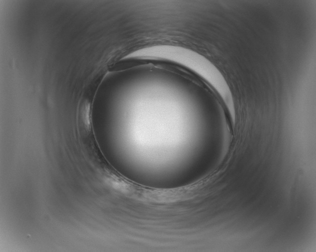 X0000082160041200701191253