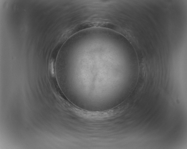 X0000082160042200701191253