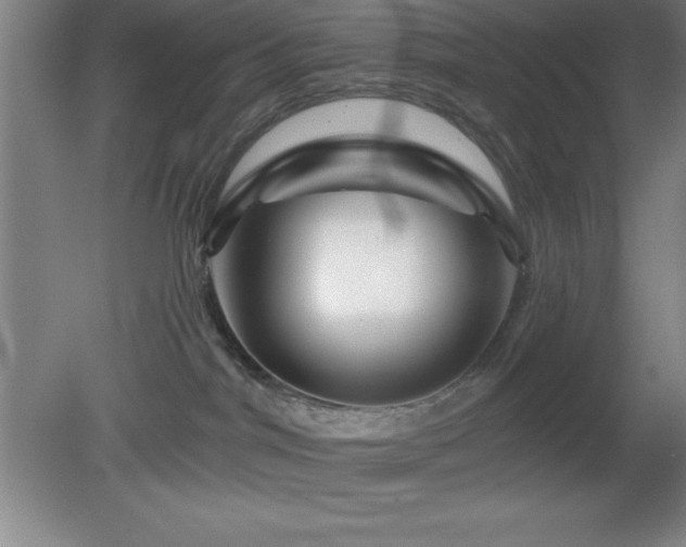 X0000082160044200701191253