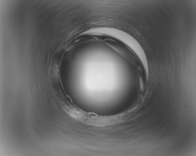 X0000082160045200701191253