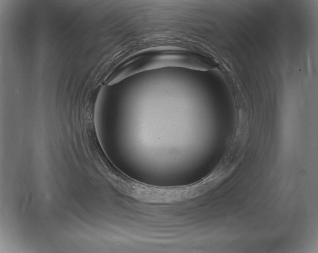 X0000082160048200701191253
