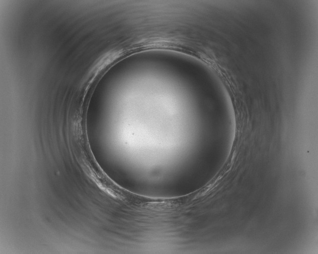 X0000082160050200701191252