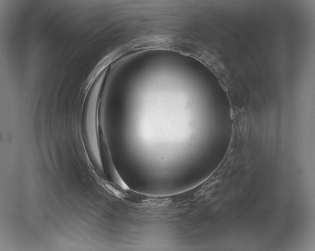 X0000082160051200701191252