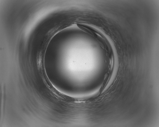 X0000082160052200701191252