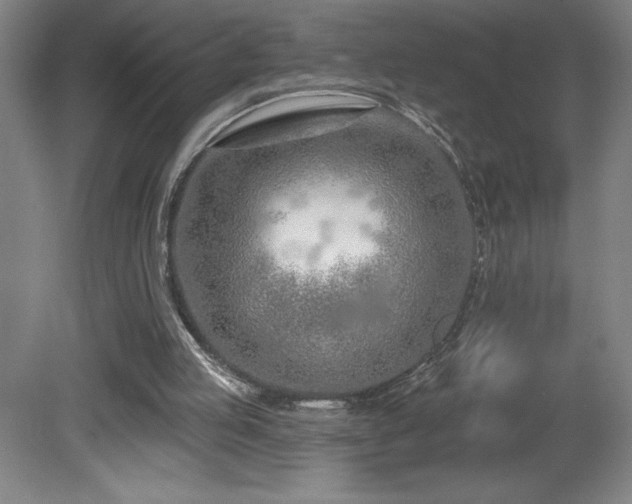 X0000082160053200701191252