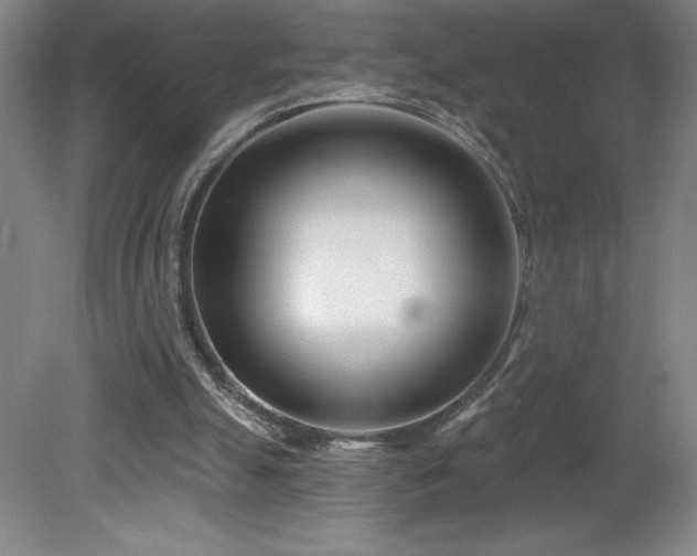 X0000082160055200701191252