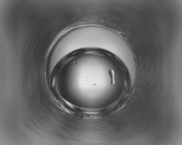 X0000082160056200701191252