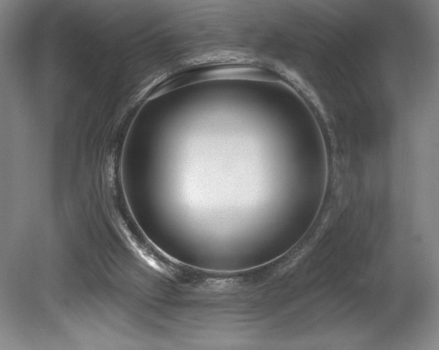 X0000082160057200701191252