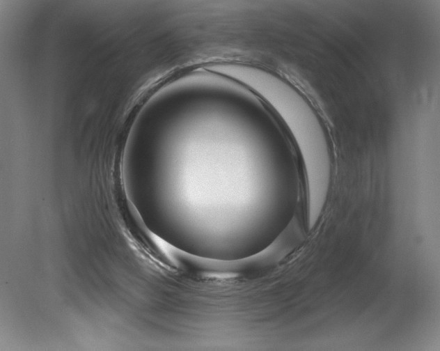 X0000082160058200701191252