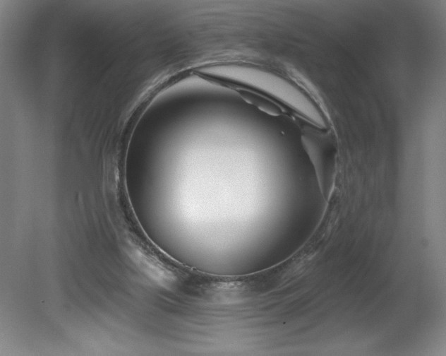 X0000082160059200701191252